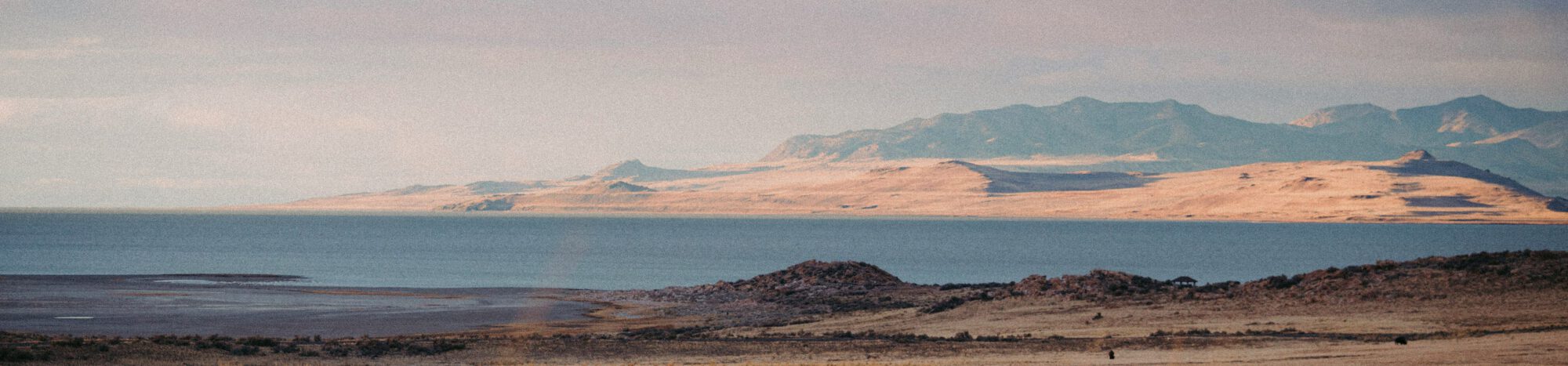 Colin Meg X9PyehJ97a4 Unsplash